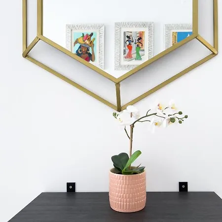 Apartment Catedral Little *